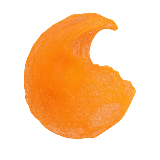 ChatGPT Image 17 nov. 2025, 08_27_10